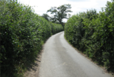 Do you make tile deliveries down narrow roads?