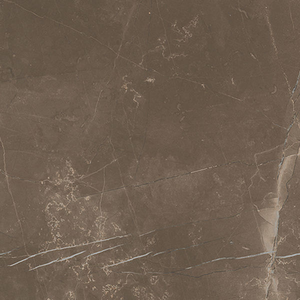 Picture of Marmo Eramosa Polished Porcelain 595x595x9mm 14.8SQM Job Lot Picture of Marmo Eramosa Polished Porcelain 595x595x9mm 14.8SQM Job Lot