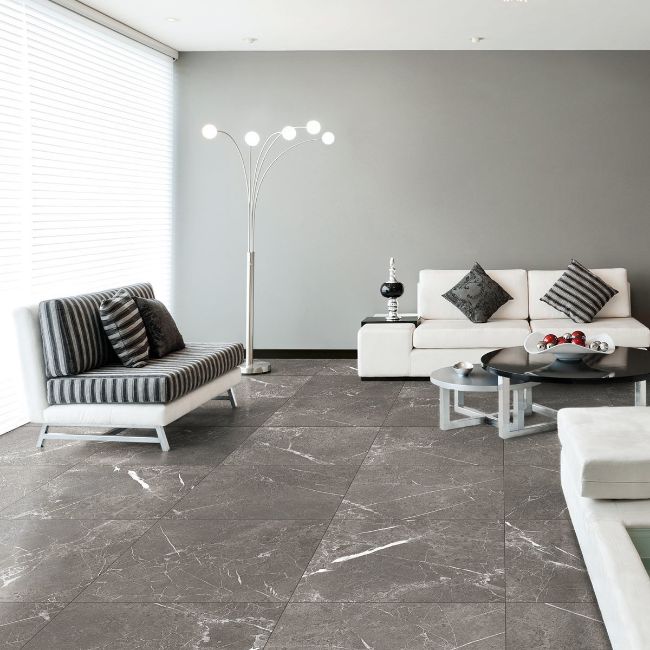 Picture of Raymi Grey Polished Porcelain Tiles
