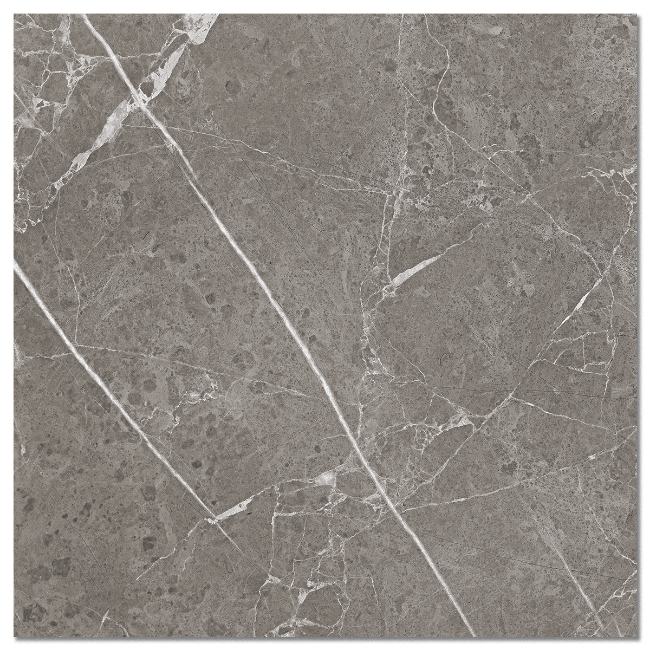 Picture of Raymi Grey Polished Porcelain Tiles