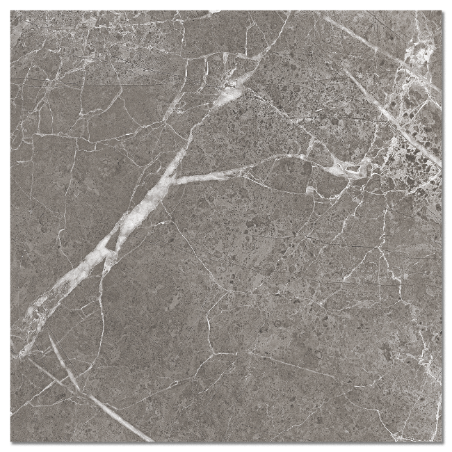 Picture of Raymi Grey Polished Porcelain Tiles
