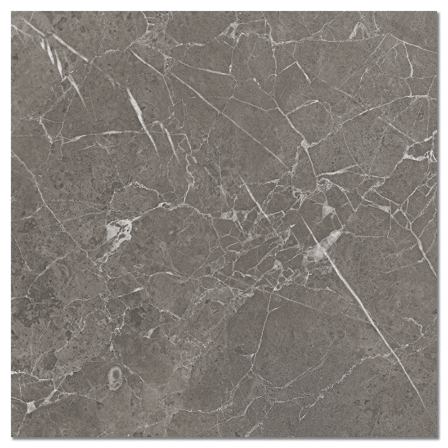 Picture of Raymi Grey Polished Porcelain Tiles