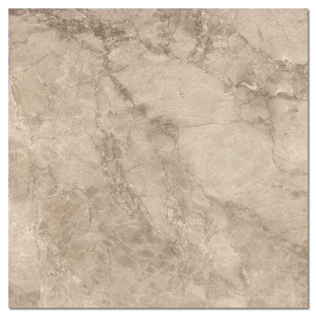 Picture of Porcini Taupe Polished Porcelain Tiles