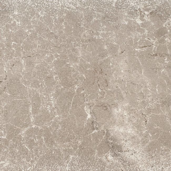 Picture of Dorchester Ash Antique Effect Porcelain