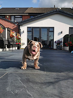 Picture for category MIMICA SLATE NERO PORCELAIN PAVING