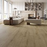 Picture of Whistler Oak Glue Back LVT