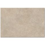 Picture of Savoie Beige Antique Effect Porcelain