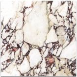 Picture of Calacatta Viola Nouveaux  Matte Porcelain Tiles