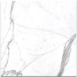 Picture of Statuario White Porcelain Tiles
