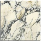 Picture of Sofia White Matte Porcelain Tiles