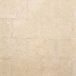 Picture of Monaco Tumbled Limestone Tiles