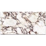 Picture of Calacatta Viola Nouveaux  Matte Porcelain Tiles