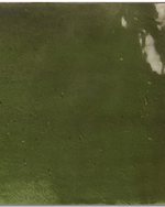 Picture of Carmella Green Tiles