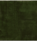 Picture of Bonita Dark Green Tiles
