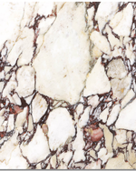 Picture of Calacatta Viola Nouveaux  Matte Marble Effect Porcelain Tiles