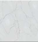 Picture of Allegra White Matte Marble Porcelain 995x995x9mm - 12.9 SQM Job Lot